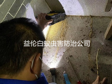 番禺老房屋灭治白蚂蚁