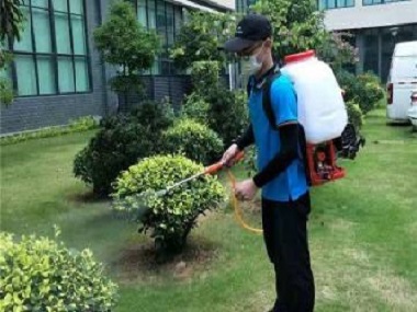 广州除四害公司定期杀虫灭鼠、防治虫害的原因