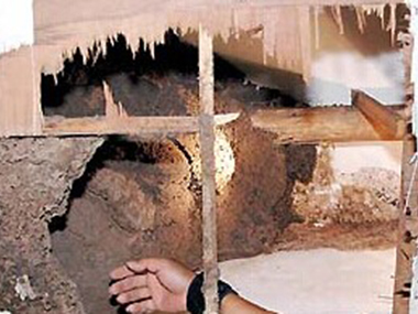 白云预防白蚁站没发现白蚁为什么还做防白蚁处理