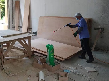 广州白蚁预防——新房屋装修怎样预防白蚁？