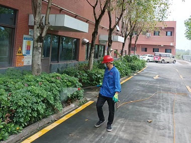 海珠有害生物防控所:绿化带防蚊灭蚊的多种方法