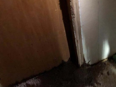 增城白蚁防治中心白蚁除了吃木头还吃什么?