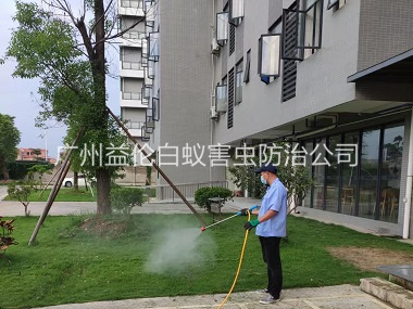 越秀小区杀灭蚊蝇工程