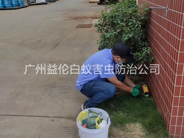 花都区布放灭鼠屋工程