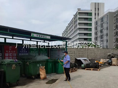 芳村蚊蝇孳生地消杀工程