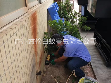 萝岗投放灭鼠装置工程