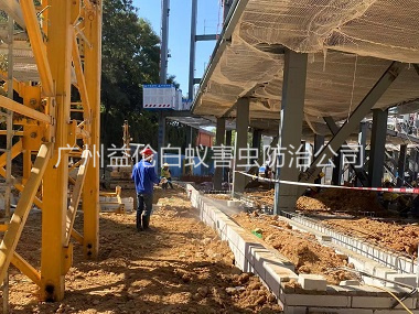 越秀新建白蚁预防工程