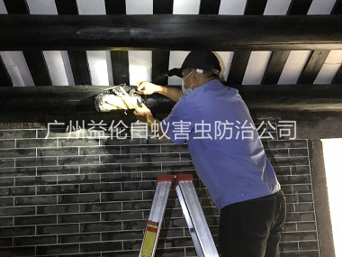 广州祠堂杀灭白蚁工程