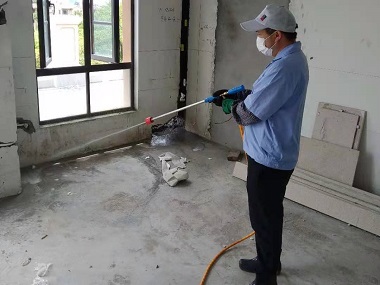 花都白蚁灭治所装修怎么防治白蚁？看完你就知道了