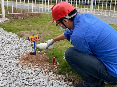 天河蚁害防治公司如何处理红火蚁危害